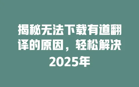 揭秘无法下载有道翻译的原因,轻松解决2025年 一