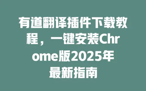 有道翻译插件下载教程,一键安装Chrome版2025年最新指南 一