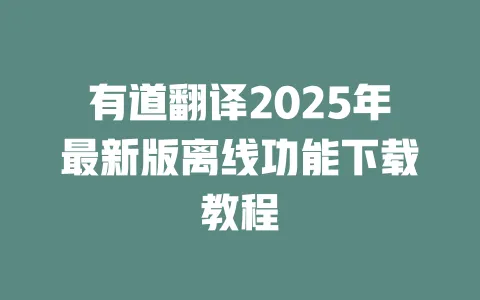 有道翻译2025年最新版离线功能下载教程 一