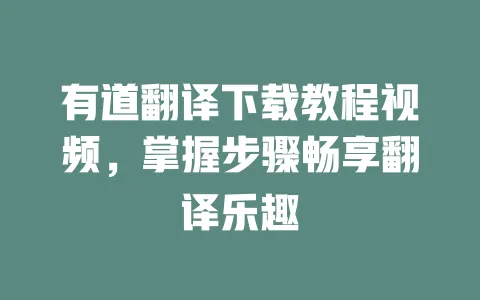 有道翻译下载教程视频，掌握步骤畅享翻译乐趣 一